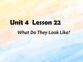 冀教版（一起）3上英语 Lesson 22 What Do They Look Like 课件+教案