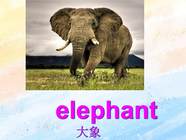 冀教版（一起）4上英语 Lesson 7 At the zoo 课件第5页