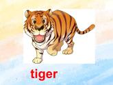 冀教版（一起）4上英语 Lesson 8 Tiger and Bear 课件+教案