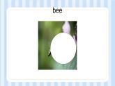 Module 4 Unit 1 Insects（課件）牛津上海版（試用本）三年級上冊