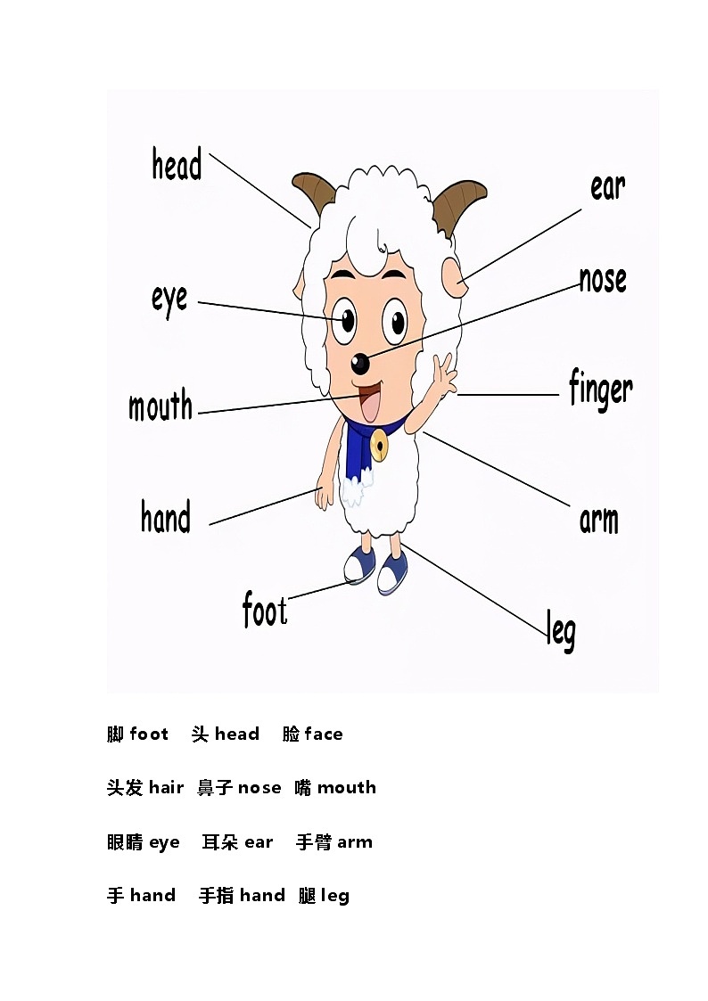 小学英语18类核心词汇分类汇总第2页