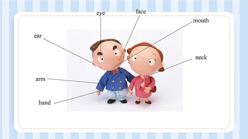 Unit 3 Look at my nose. Lesson 17 & Lesson 18（课件）人教精通版英语三年级上册03