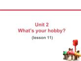 六年级上册英语课件－Unit2 What's your hobby？（Lesson11) ｜人教精通版 (共15张PPT)