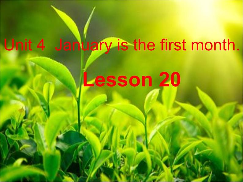 六年级上册英语课件－Unit4 January is the first month.（Lesson20) ｜人教精通版 (共13张PPT)01