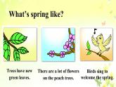 六年級上冊英語課件－Unit6 There are four seasons in a year.（Lesson31-32) ｜人教精通版 (共16張PPT)