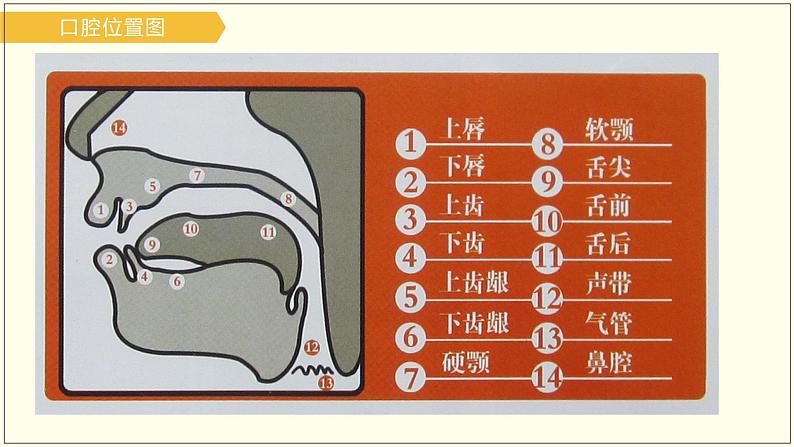 小升初必备 国际音标详解PPT 音标课件Lesson1(含动画）第7页