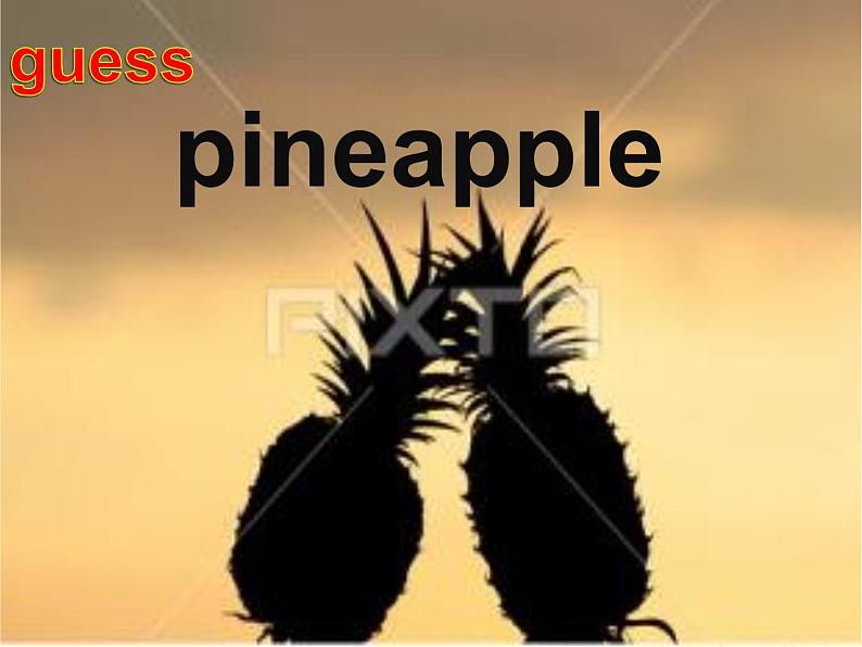 四年级上册英语课件－Unit3 It's a pineapple（Lesson13) ｜人教精通版 (共18张PPT)04