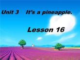 四年級(jí)上冊(cè)英語(yǔ)課件－Unit3 It's a pineapple（Lesson16) ｜人教精通版 (共13張PPT)