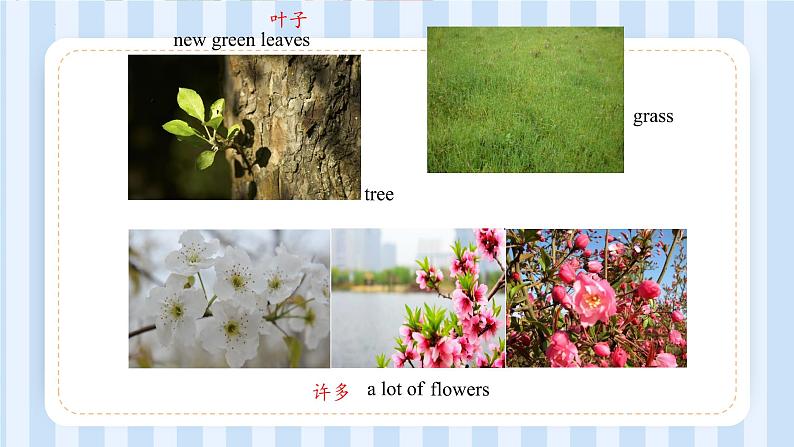 Unit 6 There are four seasons in a year. Lesson 31 & Lesson 32（课件） 人教精通版英语六年级上册第7页