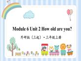 Module 6 Unit 2 How old are you？（课件） 外研版（三起）英语三年级上册