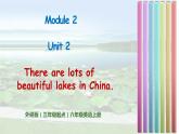 外研版（三起）六上 Module2 Unit2 There are lots of beautiful lakes in China. 课件+教学设计