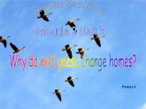 五年級(jí)上冊(cè)英語(yǔ)課件-Module2 Unit 3 Moving home (Period 4) 上海牛津版(試用本）(共11張PPT)