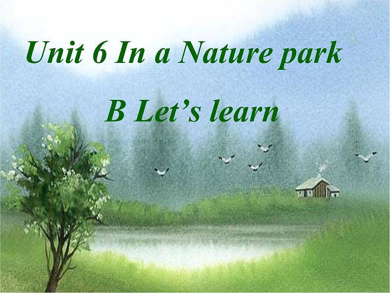 五年级上册英语课件－ Unit6 In a nature park Part B ｜人教PEP版 (共18张PPT)01