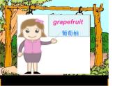 五年级上册英语课件－Unit6 It's a grapefruit(Lesson31) ｜人教精通版   (共16张PPT)