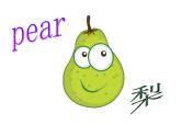 五年級上冊英語課件－Unit6 It's a grapefruit(Lesson34) ｜人教精通版   (共19張PPT)