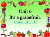 五年级上册英语课件－Unit6 It's a grapefruit(Lesson32) ｜人教精通版 (共11张PPT)