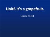 五年级上册英语课件－Unit6 It's a grapefruit(Lesson33) ｜人教精通版   (共18张PPT)