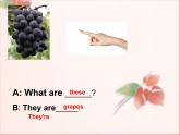 五年級上冊英語課件－Unit6 It's a grapefruit(Lesson36) ｜人教精通版 (共19張PPT)