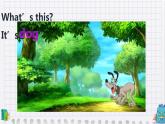 人教版PEP小学英语三年级上册Unit 4 We love animals    课件4