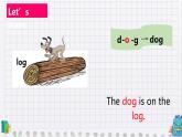 人教版PEP小学英语三年级上册Unit 4 We love animals    课件4