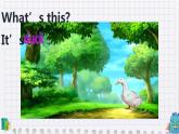 人教版PEP小学英语三年级上册Unit 4 We love animals    课件4