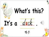 人教版PEP小学英语三年级上册Unit 4 We love animals    课件5