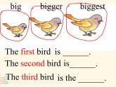 六年级上册英语课件-Unit 9 this bird is bigger than the first one 湘少版（三起） (共12张PPT)