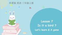 英语科普版Lesson 7 Is it a bird?教课ppt课件