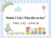 Module 2 Unit 1 What did you buy？（课件） 外研版（三起）英语五年级上册