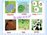 Module 7 Unit 2 Pandas love bamboo.（課件） 外研版（三起）英語六年級(jí)上冊(cè)