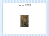 UNIT THREE I WAS BORN ON MAY 23RD  Lesson 11-12（课件） 北京版英语三年级上册