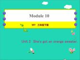 2022三年级英语下册Module10Unit2She'sgotanorangesweater作业课件外研版三起