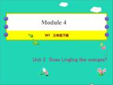 2022三年級英語下冊Module4Unit2DoesLinglinglikeoranges作業(yè)課件外研版三起