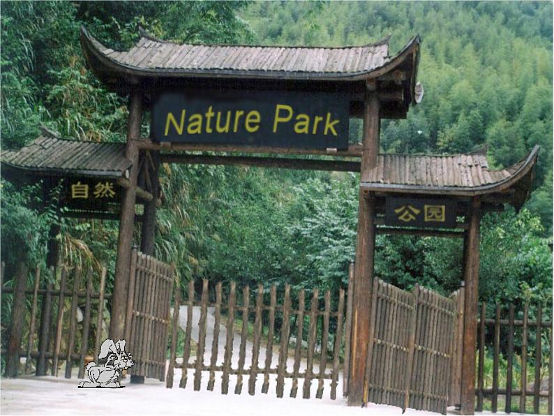 人教版三年级起点小学英语五年级上册（PEP义务教育版）Unit6 In a nature park   课件07