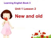 冀教版（三起）英語四上Unit1 Lesson2 New and Old 課件