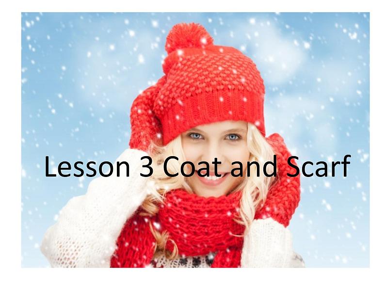 冀教版（三起）英语四上Unit1 Lesson3 Coat and Scarf 课件02