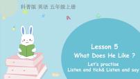 科普版Lesson 5 What does he like?示范课ppt课件