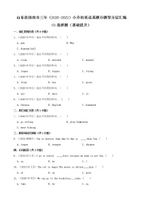 山东省济南市三年（2020-2022）小升初英语真题分题型分层汇编-03选择题（基础提升）(人教版PEP)