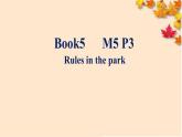 外研社1起点三年级上英语教案课件M5P3 Rules in the park