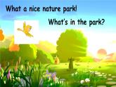 英语人教PEP五上Unit 6 In a nature park Part A 第2课时课件
