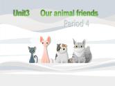 Unit3 Our animal friends 复习 (课件）译林版（三起）英语五年级上册