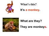 外研社三年级起点三年级下册《Module 2 unit 1 They are monkeys.》课件