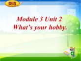 外研版三年级起点六上《Module 3 Unit 2 What’s your hobby?》课件