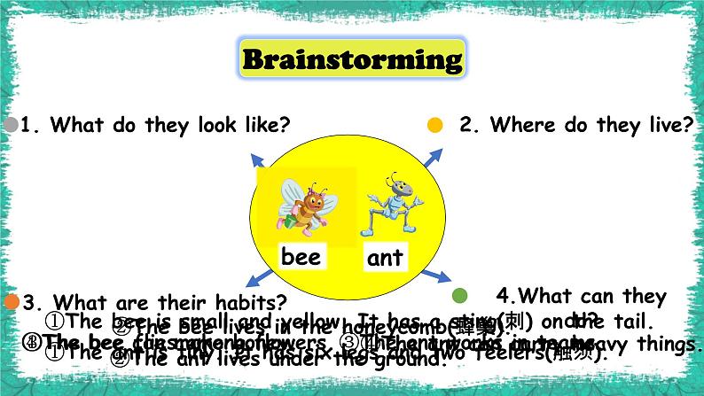泸教版英语六年级下册 6BU7P1 教学课件PPT+教案08