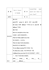 小学Lesson 3 How many pupils are there in your class?导学案