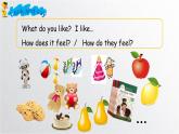 滬教版英語四年級下冊 Unit 1 Touch and feel（第5課時） PPT課件+教案