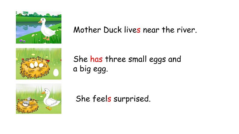 沪教版英语四年级下册 4BU12P2 PPT课件+教案04