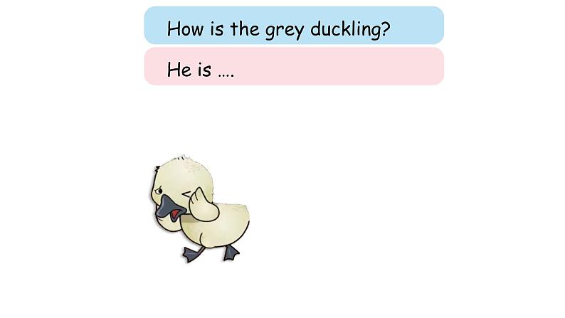 沪教版英语四年级下册 4BU12P2 PPT课件+教案05