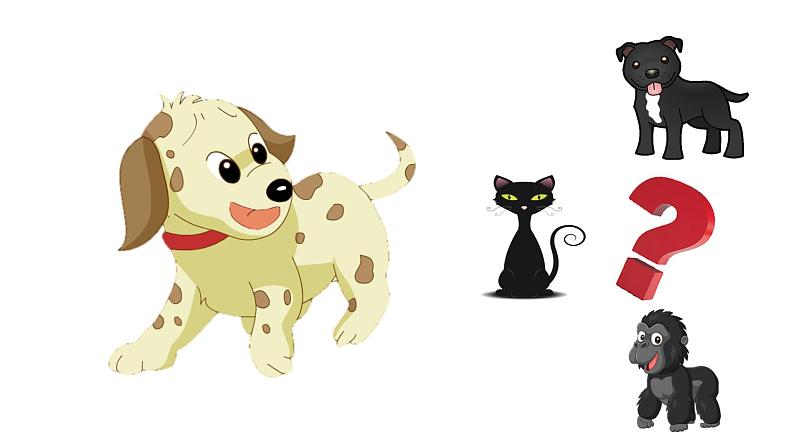 沪教版英语四年级下册 4BU3P1 PPT课件+教案07