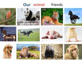 牛津译林版5A Unit3 Our animal friends PPT课件